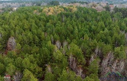 Tbd FM 782, Henderson, TX 75652