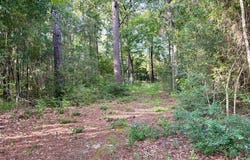 139 Oak Ridge Street, Huntington, TX 75949