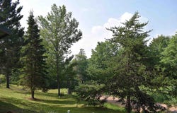 26410 Valhalla Ln, Washburn, WI 54891