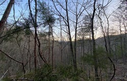 Lot 46 Beechwood Street, Sevierville, TN 37876