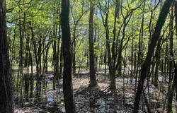 16-19-10 K Avenue, Felsenthal, AR 71747