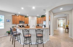1328 RUSHGROVE CIRCLE, DOVER, FL 33527