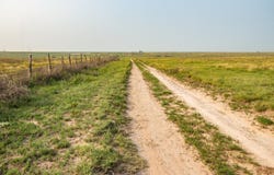 South Palo Duro Creek, Morse, TX 79062