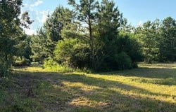 Hempstead 49, Fulton, AR 71838
