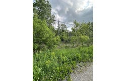 W Main Street lot: 26-28, Wolverine, MI 49799