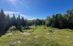 51 Pond Road, Bradford, ME 04410
