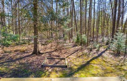 12425 Birch Street, Atlanta, MI 49709