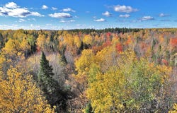 464 Moose Brook Road, Ludlow, ME 04730