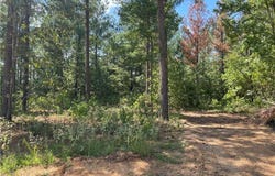 51 Cedar Hills Trail, Broken Bow, OK 74728