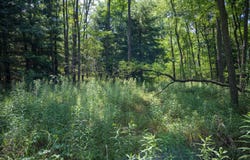 9.73 acres E Flint Street, Lyndon Station, WI 53944
