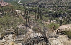 11665 E Balboa Place, Tucson, AZ 85749
