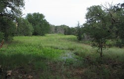 Tr 1 Hoffman Road, Loving, TX 76460