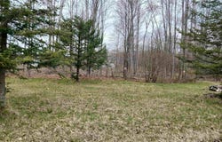 1392 Kitchen Road, Whittemore, MI 48770