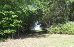 Williams Road, Henderson, TN 38340