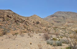 24968 Gate 2 Rd, Terlingua, TX 79852