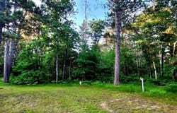 2498 W Five Mile Road, Grayling, MI 49738