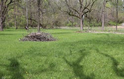 24242 W Jerkwater Road, Sheridan, IN 46069