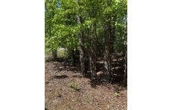 23 Andorra Circle, Hot Springs Village, AR 71909