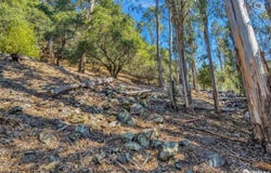 0 0 Ascot Drive, Oakland, CA 94611