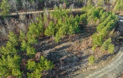 21 Painted Bunting Trail, Smithville, OK 74957