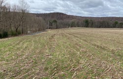150 Lloyds Road, Cherry Tree, PA 15724