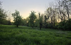 2.75 Acres BOATMANS MOUNTAIN Rd, Morristown, TN 37814