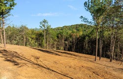 W Hills Drive lot: #2, Mosheim, TN 37818
