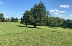 21044 Dingman Slagle Road, Sidney, OH 45365