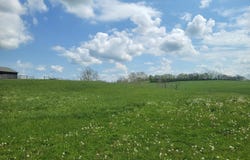 635A Lot A White Oak Road lot: A, Stamping Ground, KY 40379