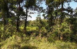 Vacant SE Gordon Hurst Road, Branford, FL 32008