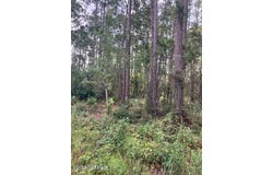 4515 MAHOGANY Boulevard, Bunnell, FL 32110