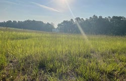TBD Herbert Road, Norway, SC 29113