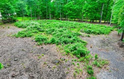 ROADARMEL Lane, Paxinos, PA 17860
