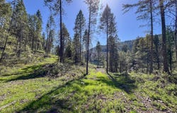 16XX WILLIAMS LAKE RD, COLVILLE, WA 99114
