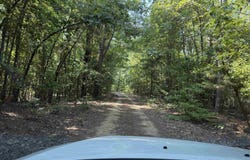 30 +- acres, Camden, AR 71701