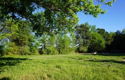 6902 Stella St, Murchison, TX 75778