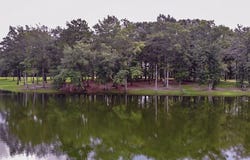 15 Shadow Ridge Drive, LAUREL, MS 39443