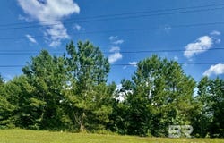 Wild Avenue, Evergreen, AL 36401