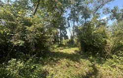 0 M Drive S, Homer, MI 49245