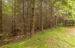 Grand Rdg RD, Toutle, WA 98649