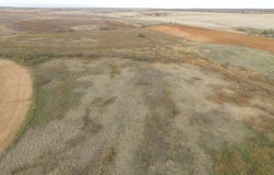 124 Fm 1224, Roby, TX 79543