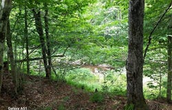 parcel 3 State Rte 30, Northville, NY 12134