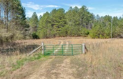 1003 County Road 207, Collinsville, AL 35961