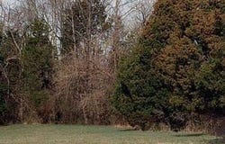 642-646 Hobbs Ln, Fisherville, KY 40023