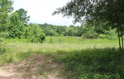 18.17 Acres CR 1190, Grapeland, TX 75844