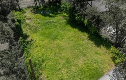 603 W Newton Street, Terrell, TX 75160