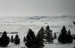 Parcel 25 Buffalo Lance Ranch, Cameron, MT 59720