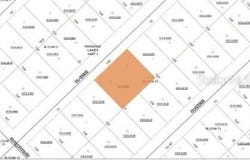 209 SE PARADISE LAKES, GEORGETOWN, FL 32139