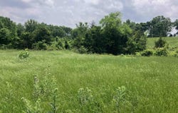 Abernathy Rd., Pencil Bluff, AR 71965