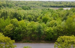 Lot 7 Grant Road, Orono, ME 04473